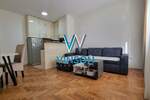 Jednoiposoban stan, Novi Sad, Detelinara, izdavanje, 40m2, 450e, id1386049