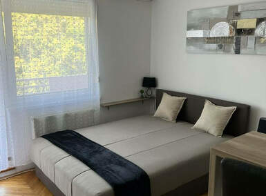 Garsonjera, Novi Sad, Grbavica, izdavanje, 26m2, 400e, id1452001