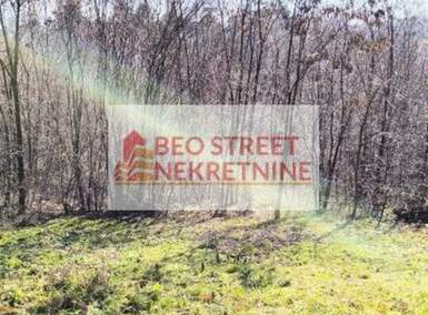 Plac, Beograd, Babe, prodaja, 0m2, 15000e, id1452572