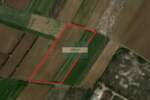 Plac, Jagodina, Vinorača, prodaja, 0m2, 1e, id1452590