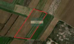 Plac, Jagodina, Vinorača, prodaja, 0m2, 1e, id1452590