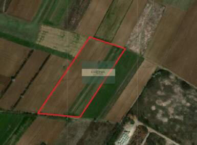 Plac, Jagodina, Vinorača, prodaja, 0m2, 1e, id1452590