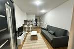 Dvosoban stan, Novi Sad, Petrovaradin, izdavanje, 35m2, 330e, id1452615