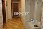 Trosoban stan, Novi Sad, Grbavica, izdavanje, 56m2, 550e, id1452622