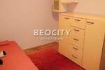 Trosoban stan, Novi Sad, Grbavica, izdavanje, 56m2, 550e, id1452622