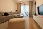 Dvosoban stan, Beograd, Vračar (centar), izdavanje, 50m2, 850e, id1453157