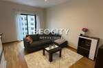 Dvosoban stan, Beograd, Vračar (centar), izdavanje, 56m2, 850e, id1453533