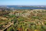 Plac, Beograd, Višnjica, prodaja, 10000m2, 370000e, id1453621