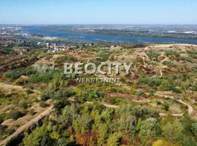 Plac, Beograd, Višnjica, prodaja, 10000m2, 370000e, id1453621
