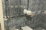 Jednoiposoban stan, Niš, Filozofski fakultet, izdavanje, 45m2, 300e, id1453674