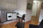 Jednosoban stan, Novi Sad, Bulevar Oslobođenja, izdavanje, 24m2, 280e, id1453707