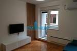 Dvosoban stan, Beograd, Zvezdarska šuma, izdavanje, 36m2, 500e, id1096212