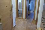 Dvosoban stan, Beograd, Kalenić, izdavanje, 60m2, 1100e, id1453794