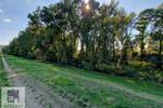 Plac, Beograd, Progar, prodaja, 0m2, 35000e, id1360473