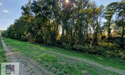 Plac, Beograd, Progar, prodaja, 0m2, 35000e, id1360473