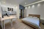 Garsonjera, Novi Sad, izdavanje, 21m2, 350e, id1453875