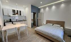 Garsonjera, Novi Sad, izdavanje, 21m2, 350e, id1453875