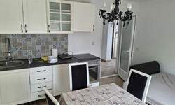 Jednosoban stan, Beograd, Dobanovci, izdavanje, 38m2, 100e, id1383348