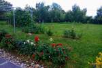 Vikendica, Novi Sad, Ribnjak, prodaja, 30m2, 165000e, id1453934