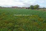 Plac, Beograd, Dobanovci, prodaja, 0m2, 581000e, id1453953