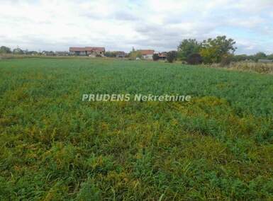 Plac, Beograd, Dobanovci, prodaja, 0m2, 581000e, id1453953