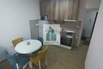 Jednoiposoban stan, Niš, Somborska, izdavanje, 38m2, 350e, id1453988