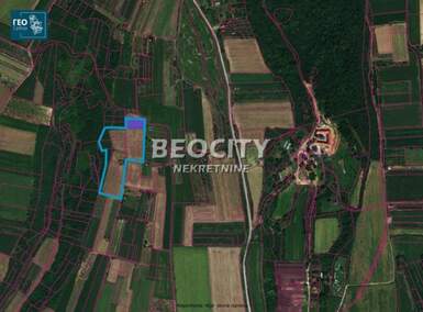 Plac, Sremska Mitrovica, Divoš, prodaja, 25300m2, 160000e, id1454069