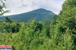 Plac, Boljevac, Mirovo, prodaja, 0m2, 10300e, id1391750