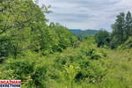 Plac, Boljevac, Mirovo, prodaja, 0m2, 10300e, id1391750