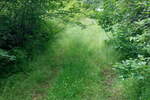 Plac, Boljevac, Mirovo, prodaja, 0m2, 10300e, id1391750