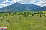 Plac, Boljevac, Mirovo, prodaja, 0m2, 40600e, id1390076