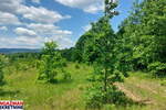 Plac, Boljevac, Mirovo, prodaja, 0m2, 40600e, id1390076