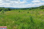 Plac, Boljevac, Mirovo, prodaja, 0m2, 40600e, id1390076