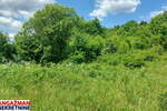 Plac, Boljevac, Mirovo, prodaja, 0m2, 40600e, id1390076