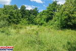 Plac, Boljevac, Mirovo, prodaja, 0m2, 40600e, id1390076