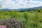 Plac, Boljevac, Mirovo, prodaja, 0m2, 12000e, id1390078