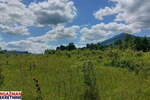 Plac, Boljevac, Mirovo, prodaja, 0m2, 12000e, id1390078