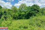 Plac, Boljevac, Mirovo, prodaja, 0m2, 12000e, id1390078