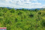 Plac, Boljevac, Mirovo, prodaja, 0m2, 12000e, id1390078