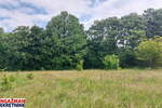 Plac, Boljevac, Mirovo, prodaja, 0m2, 32700e, id1390079