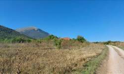 Plac, Boljevac, Ilino, prodaja, 0m2, 31200e, id1261891