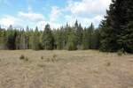Plac, Tara, prodaja, 8600m2, 180000e, id1454074