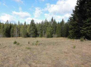 Plac, Tara, prodaja, 8600m2, 180000e, id1454074