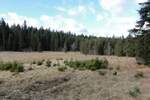 Plac, Tara, prodaja, 8600m2, 180000e, id1454074