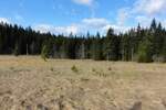 Plac, Tara, prodaja, 8600m2, 180000e, id1454074