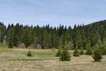 Plac, Tara, prodaja, 8600m2, 180000e, id1454074