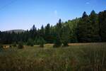 Plac, Tara, prodaja, 8600m2, 180000e, id1454074