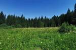 Plac, Tara, prodaja, 8600m2, 180000e, id1454074