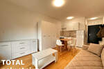 Garsonjera, Novi Sad, Telep, izdavanje, 25m2, 350e, id1454120