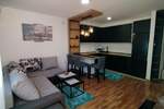 Jednoiposoban stan, Novi Sad, izdavanje, 42m2, 500e, id1454080